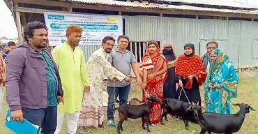 কলাপাড়ায় সুবিধাবঞ্চিত পরিবারের মাঝে ছাগল বিতরন