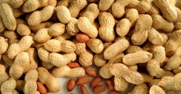 শীতকালে বাদাম খেলে যা ঘটবে আপনার শরীরে