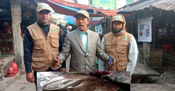 পটুয়াখালীর কলাপাড়ায় শাপলাপাতা মাছ জব্দ