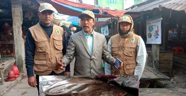 পটুয়াখালীর কলাপাড়ায় শাপলাপাতা মাছ জব্দ