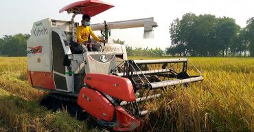কৃষকদের মাঠের ধান কেটে দিচ্ছে আধুনিক মেশিন