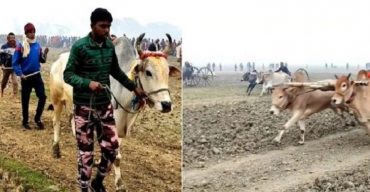 ঝিনাইদহে ঐতিহ্যবাহী গরুর গাড়ীর দৌড় প্রতিযোগিতা অনুষ্ঠিত