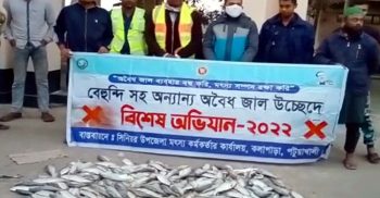 কুয়াকাটায় ৬ মন জাটকাসহ অবৈধ জাল জব্দ