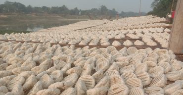 স্বাদে অতুলনীয় আত্রাইয়ের নারীদের তৈরি কুমড়ো বড়ি