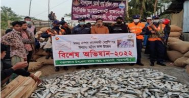 রাঙ্গাবালীতে ২৫ মন জাটকা উদ্ধার