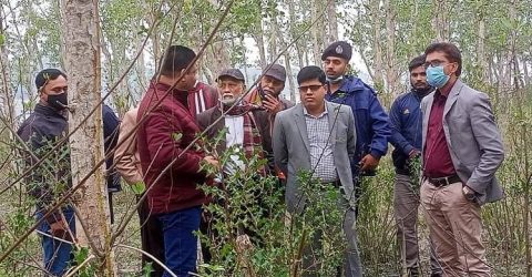 গলাচিপায় চর্চা ম্যাপ ও পিকনিক রিসোর্টের জন্য চর পরিদর্শনে ইউএনও