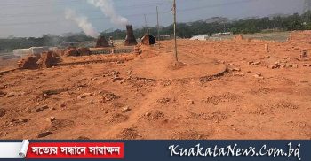 আমতলীর অবৈধ ৭ ইটভাটায় অভিযান চালিয়ে ১৪ লাখ টাকা জরিমানা
