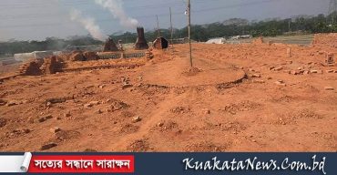 আমতলীর অবৈধ ৭ ইটভাটায় অভিযান চালিয়ে ১৪ লাখ টাকা জরিমানা