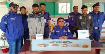 কলাপাড়ায় ২৬০ পিচ ইয়াবাসহ দুই মাদক কারবারীকে গ্রেফতার