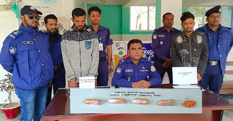 কলাপাড়ায় ২৬০ পিচ ইয়াবাসহ দুই মাদক কারবারীকে গ্রেফতার