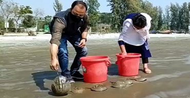 রক্তাক্ত ৭ টি রাজ কাঁকড়া উদ্ধার করেছে গবেষকরা