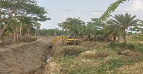 গলাচিপায় মরাখাল সচল হওয়ায় ৪ হাজার কৃষকের মুখে হাসি