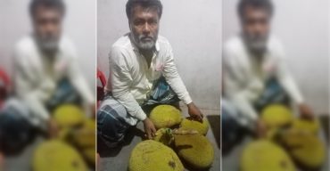 গলাচিপায় শত্রুতার রোষাণলে গাছের কাঁঠাল