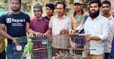 কলাপাড়ায় খাঁচায় বন্দিদশা থেকে ২৩ পাখি উদ্ধার