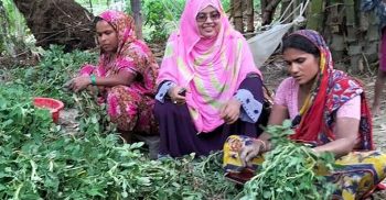 ইউপি নির্বাচন: ৬ পুরুষ চেয়ারম্যান প্রার্থীর বিপরীতে ভোট যুদ্ধে লড়ছেন এক নারী