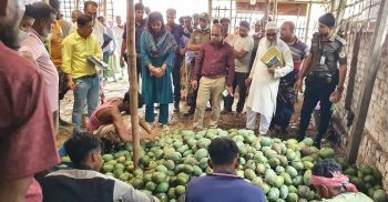 সাপাহারে মোবাইল কোড অভিযানে ৩ আড়ত ব্যবসায়ীর ৮০ হাজার টাকা জরিমানা
