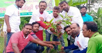 কলাপাড়ায় দুই শতাধিক গাছের চারা রোপন করেছে যুবলীগ