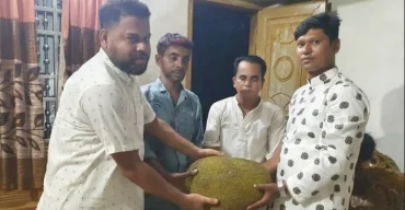 ব্রাহ্মণবাড়িয়া এক কাঁঠাল বিক্রি হলো ২৬ হাজার টাকায়