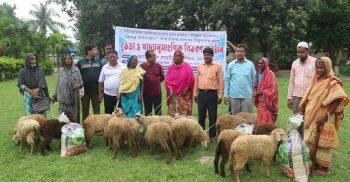 নওগাঁয় সমাজসেবা অধিদপ্তরের ভিক্ষুকমুক্ত কর্মসূচীর তহবিল থেকে ভেড়া ও খাদ্যসামগ্রী বিতরন