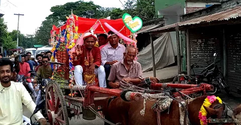 নাটোরে ঘোড়ার গাড়িতে বউ এনে বাবার শখ পূরণ ছেলের