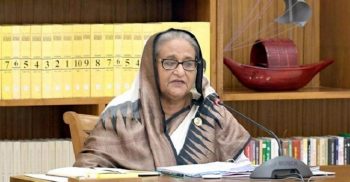বেশি করে ঝাউগাছ লাগানোর নির্দেশ প্রধানমন্ত্রীর