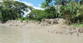 রামনাবাদ নদীর ভাঙ্গনে বিলীন হয়ে যাচ্ছে গলাচিপার তিন গ্রাম