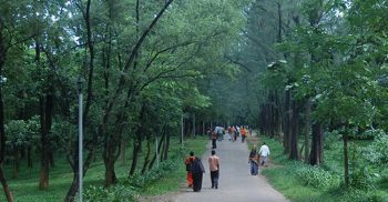 বোটানিক্যাল গার্ডেনে অবরুদ্ধ পরিবেশকর্মী ছাড় পেলেন মুচলেকায়