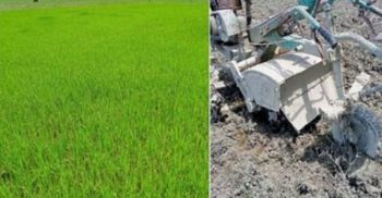 বৃষ্টিহীন শ্রাবনে কৃষকের চোখে পানি ঝরার মাসে খড়া