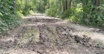 দীর্ঘ ২৮বছর অবহেলিত জরাজীর্ণ রাস্তায় দশমিনায় জনদুর্ভোগ চরমে