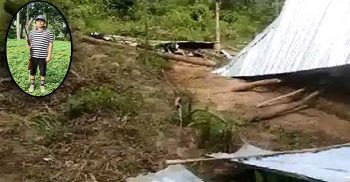 সিন্ডিকেট চক্রের কবল থেকে পারকুল চা বাগানে অবৈধ দখলকৃত ভূমি উদ্ধার