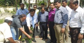 ঝালকাঠিতে স্থানীয় সরকার প্রকৌশল অধিদপ্তরের মত বিনিময় ও বৃক্ষরোপণ