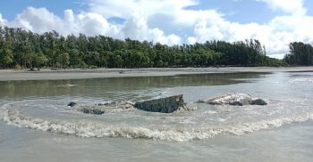 কুয়াকাটার সৈকতে এবার ভেসে এলো বিশালাকৃতির অর্ধগলিত তিমির মৃতদেহ