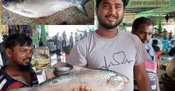 একটি ইলিশ বিক্রি হলো ৫ হাজার টাকায়