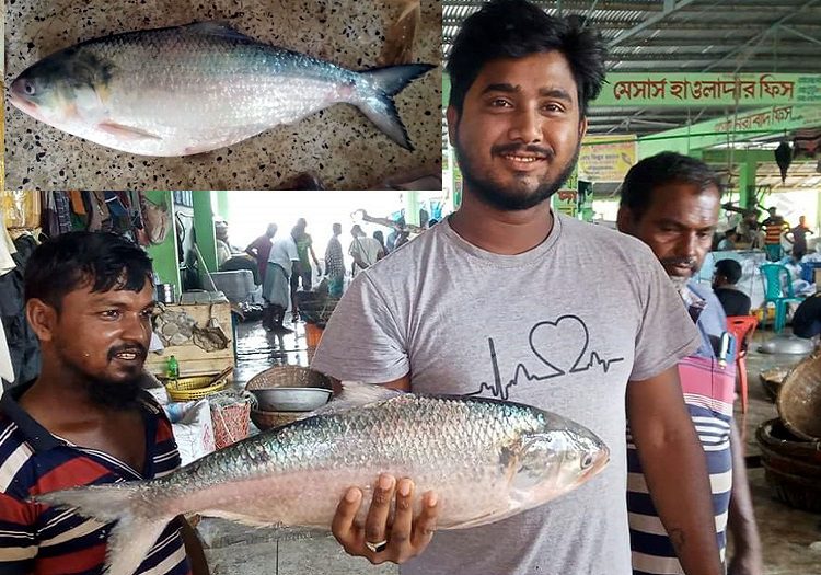 একটি ইলিশ বিক্রি হলো ৫ হাজার টাকায়