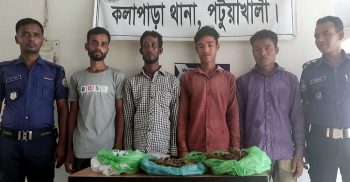 কলাপাড়ায় গাঁজা সহ ৪ জন গ্রেফতার