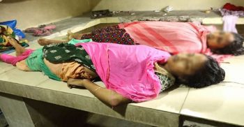 কুষ্টিয়ায় সাপের কামড়ে বউ-শাশুড়ির মৃত্যু