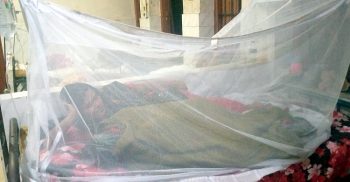 পটুয়াখালীর কলাপাড়ায় ৬ জন ডেঙ্গু রোগী সনাক্ত
