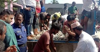 কলাপাড়ায় মিনি ট্রাক সহ ৪৬ মন জাটকা জব্দ,৩ জনকে ১ বছর করে কারাদন্ড
