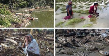 ভয়াল সিডরের স্মৃতি উপকূলবাসীকে আজও তাড়িয়ে বেড়ায়