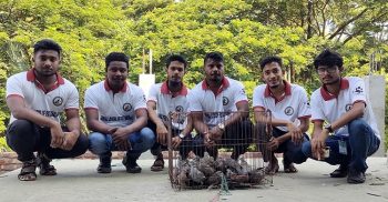 কুয়াকাটায় খাঁচায় বন্ধি অর্ধশতাধিক ঘুঘু পাখি অবমুক্ত
