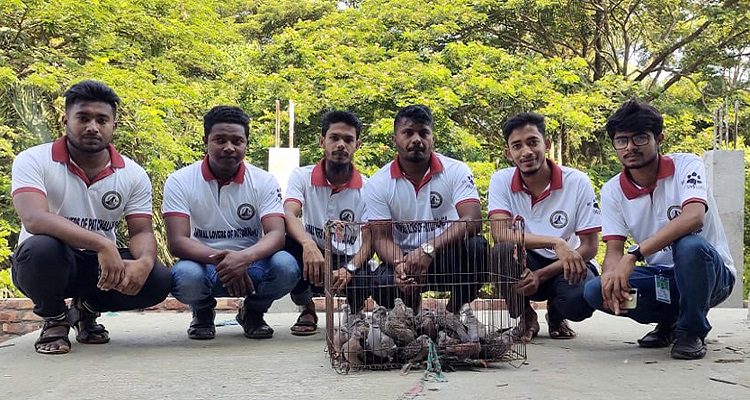 কুয়াকাটায় খাঁচায় বন্ধি অর্ধশতাধিক ঘুঘু পাখি অবমুক্ত