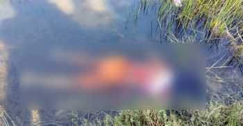 কলাপাড়ায় ধান ক্ষেত থেকে কিশোরীর লাশ উদ্ধার
