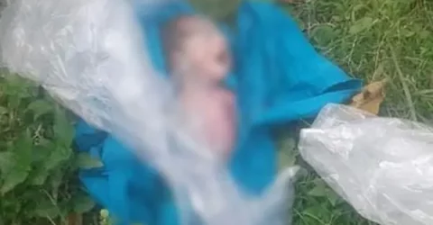 বাগেরহাটের মোংলার রাস্তায় পলিথিনে মোড়ানো নবজাতকের মরদেহ উদ্ধার