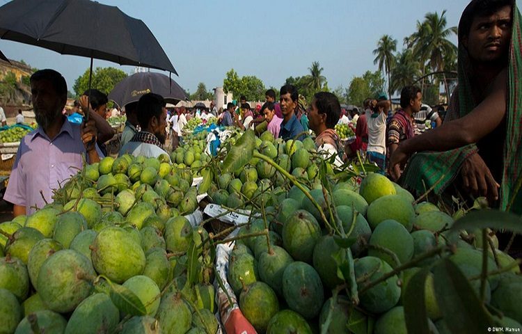বাংলাদেশের বিভিন্ন এলাকায় বসে ঐতিহ্যবাহী নানা ধরনের হাট বা বাজার
