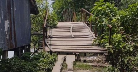 ঝুঁকিপূর্ন ব্রিজ জেনেও দশমিনায় শিক্ষার্থী-পথচারীরা পারাপার