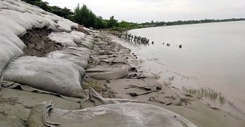 কলাপাড়ার মিঠাগঞ্জ বেরিবাঁধে ভাঙ্গন।। আতঙ্কে পাঁচ গ্রামের মানুষ