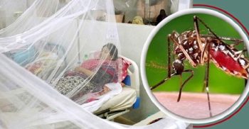 গত ২৪ ঘণ্টায় সারাদেশে ডেঙ্গু জ্বরে আক্রান্ত হয়ে তিনজনের মৃত্যু
