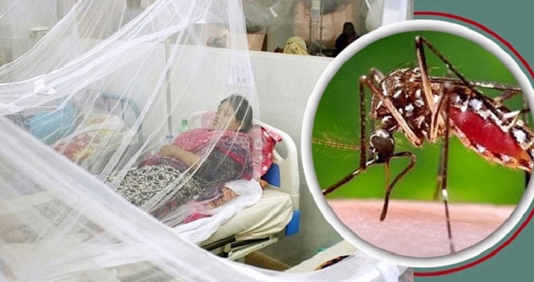 গত ২৪ ঘণ্টায় সারাদেশে ডেঙ্গু জ্বরে আক্রান্ত হয়ে তিনজনের মৃত্যু