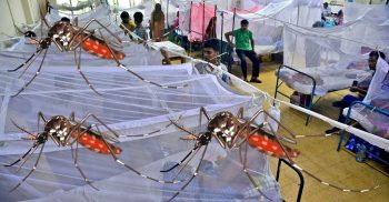 ২৪ ঘণ্টায় ডেঙ্গুতে সাতজনের মৃত্যু, হাসপাতালে ভর্তি ১৬২৩
