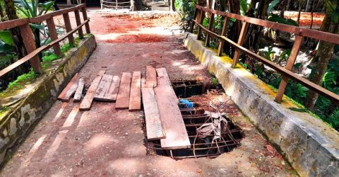 রাজাপুরে বেহাল সড়কে ৬ গ্রামের মানুষ ৫০ বছর ধরে পথচারীদের দুর্ভোগ